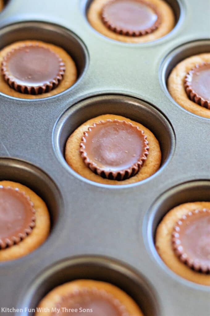 pressing Reese's Peanut Butter Cups into the freshly baked cookies.