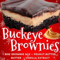Buckeye Brownies pin