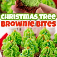 Christmas Tree Brownie Bites