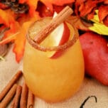 This Harvest Margarita recipe is perfect for fall and Thanksgiving. It's full of the flavors of pear, apples and orange.