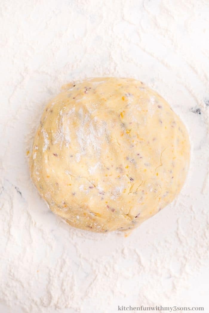 The dough on a floured surface.