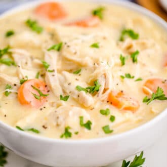 Chicken and Dumplings with Tortillas