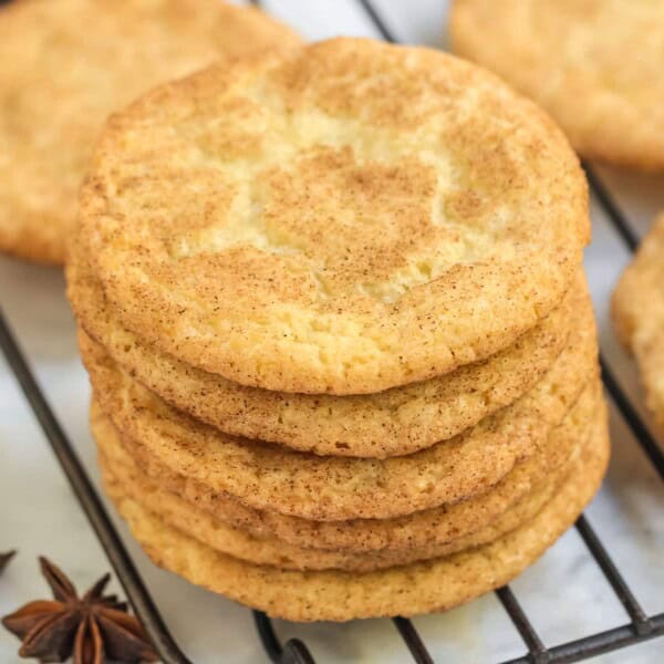 Snickerdoodle Recipe Feature