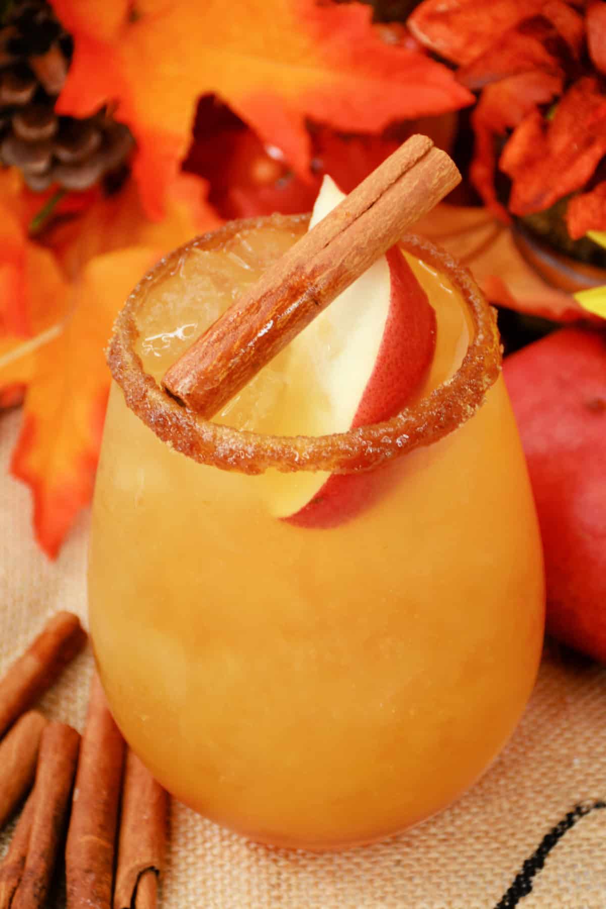 Thanksgiving Margarita in a glass topped with a cinnamon stick and sliced apple