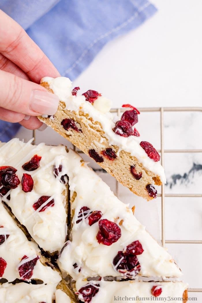 A hand holding one of the cranberry bars.