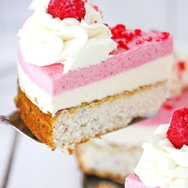 A spatula lifting up a slice of cheesecake.
