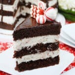 Chocolate Peppermint Cake Feature