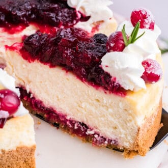 Cranberry Cheesecake Feature