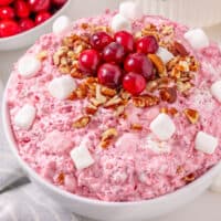 Cranberry Fluff Salad feature
