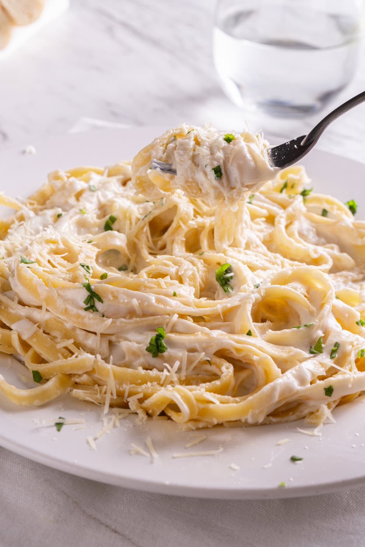 Fettuccini Alfredo Sauce with a fork