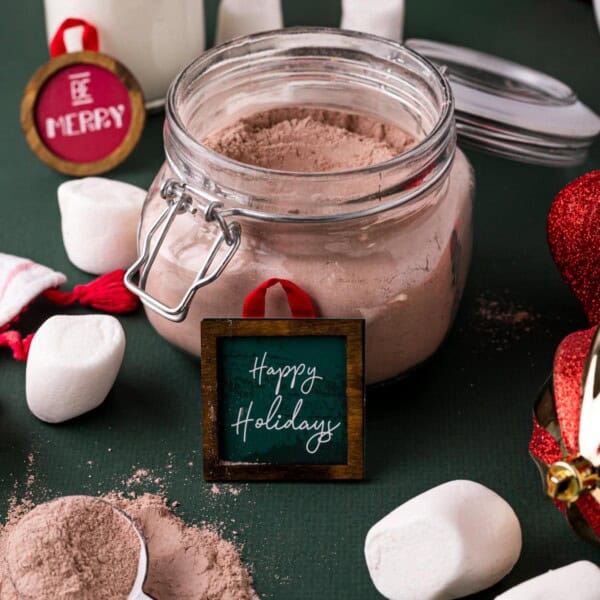 Homemade Hot Chocolate Mix Feature