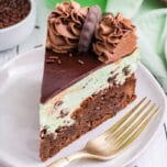 Mint Chocolate Cheesecake Feature