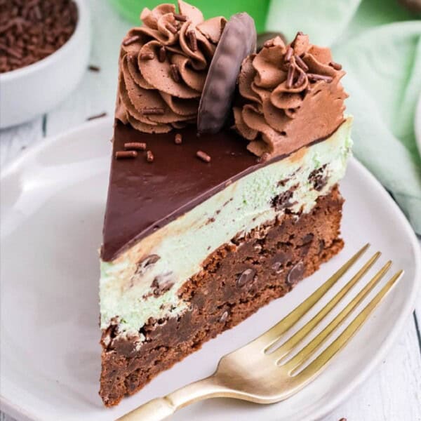 Mint Chocolate Cheesecake Feature