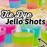 Tie Dye Jello Shots
