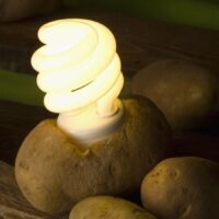 Potato with a Light Bulb