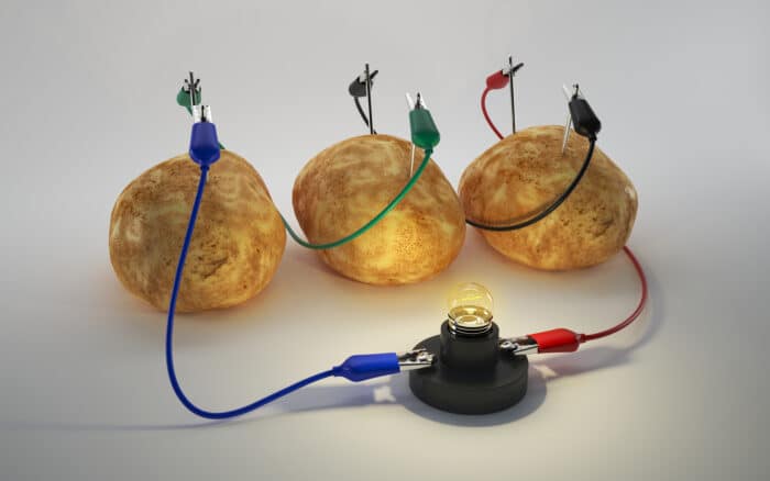 Potato Electricity