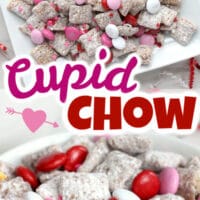 Valentine Puppy Chow Pinterest