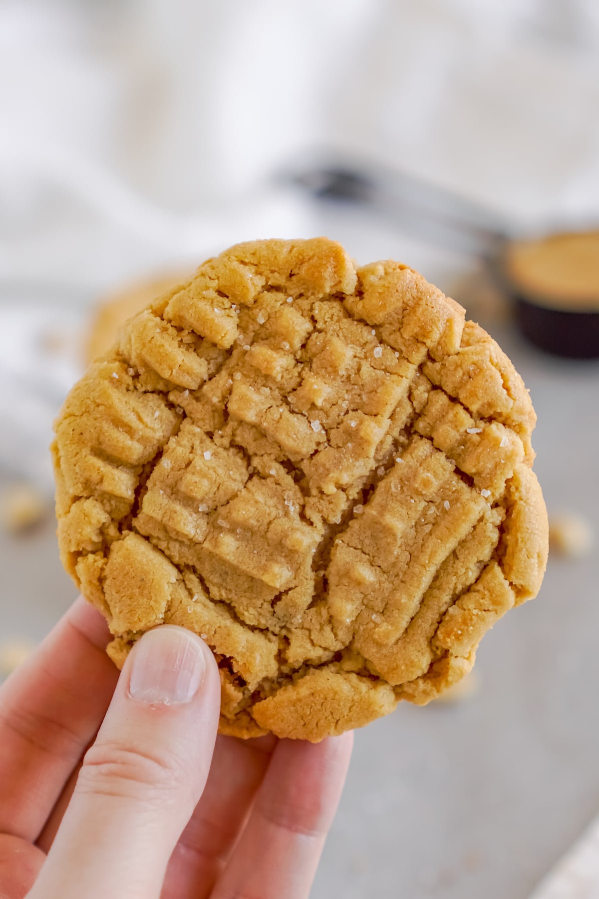 A whole peanut butter cookie is held up.