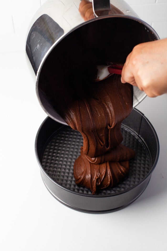 pouring the cake batter into a pan