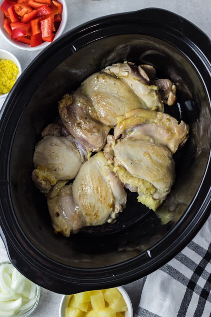 The chicken in the crock pot.