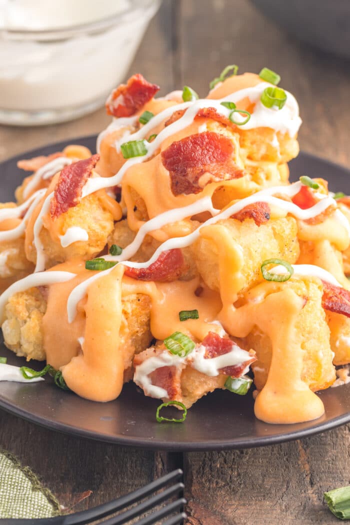 Loaded Tater Tots on a plate.