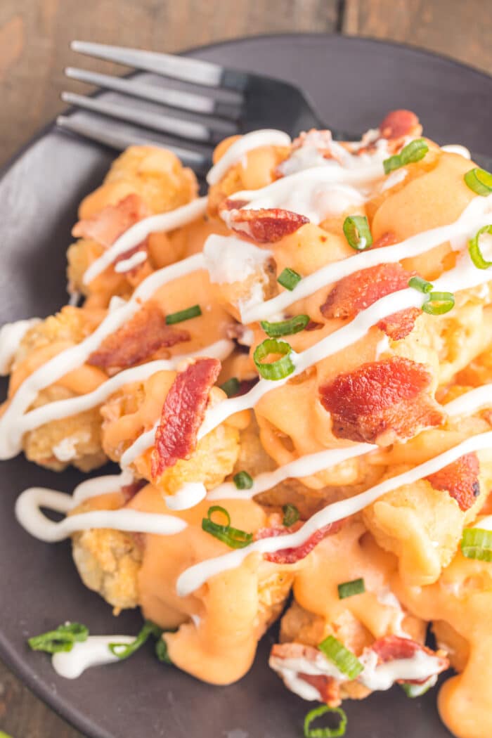 The Loaded Tater Tots garnished with green onions.