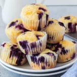 Lemon Blueberry Muffins Feature
