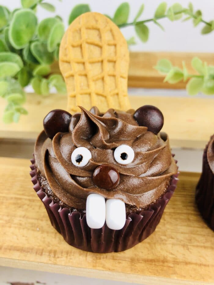 Beaver Cupcakes with another cupcake.
