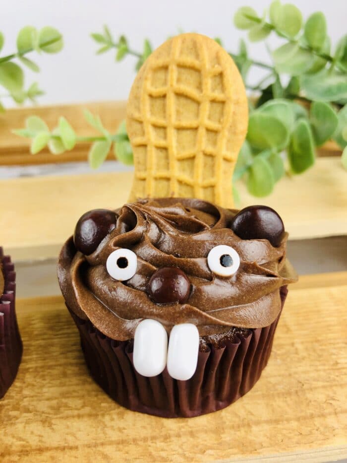 Beaver Cupcakes on a wooden table.