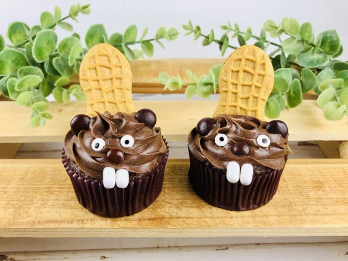 Two of the Beaver Cupcakes.