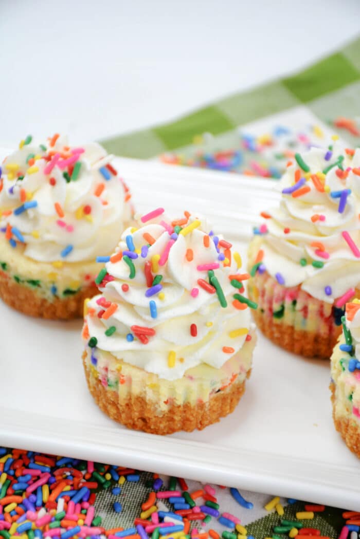 Funfetti Mini Cheesecake topped with whipped topping.