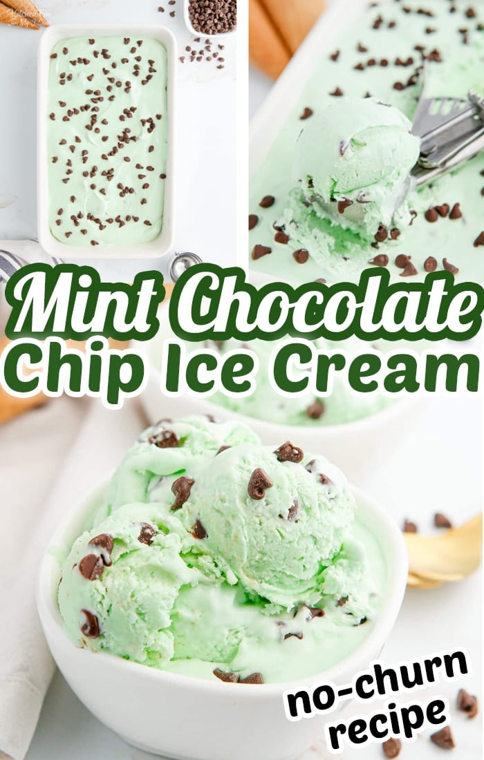 Mint Chocolate Chip Ice Cream is a delicious minty dessert without all the hassle of a machine. This no-churn ice cream is cool, refreshing, and filled with chocolate chips.