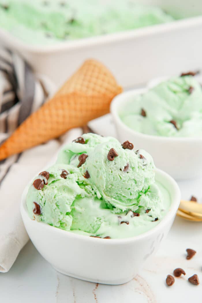Mint Chocolate Ice Cream in a bowl.