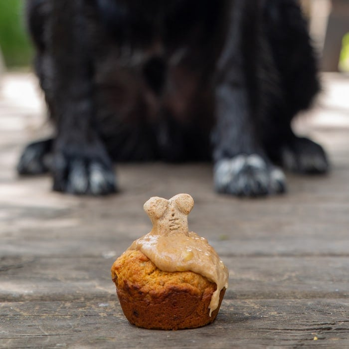 Delicious peanut butter flavored homemade dog cupcakes.