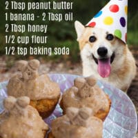 Dog Cupcakes Pinterest