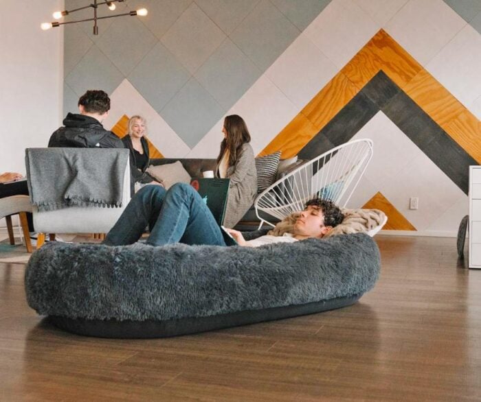 person sleeping human sized dog bed