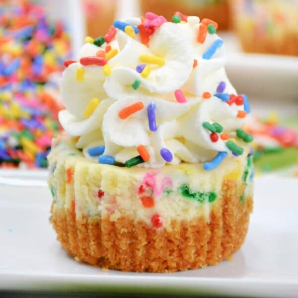 Mini Funfetti Cheesecake feature