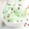 Mint Chocolate Chip Ice Cream feature