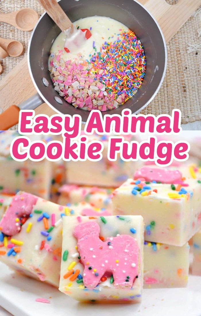 Animal Cookie Fudge is a delicious dessert combining cream white chocolate fudge and frosted animal cookies. This silk smooth and chocolatey dessert is so good and ready in minutes.