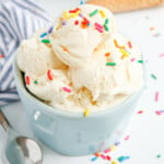 Homemade Vanilla Ice Cream feature