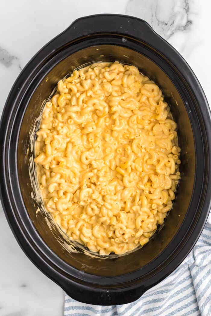 mac and cheese in the crock pot