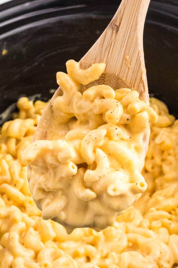 Mac and Cheese on a wooden spoon