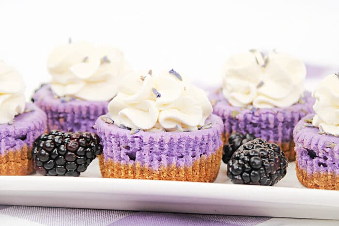 Lavender Blackberry Cheesecakes on a white tray.