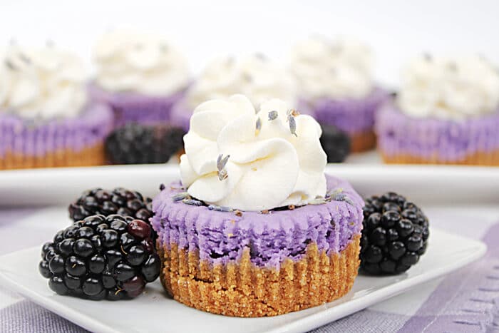Lavender Blackberry Cheesecakes on a white table.