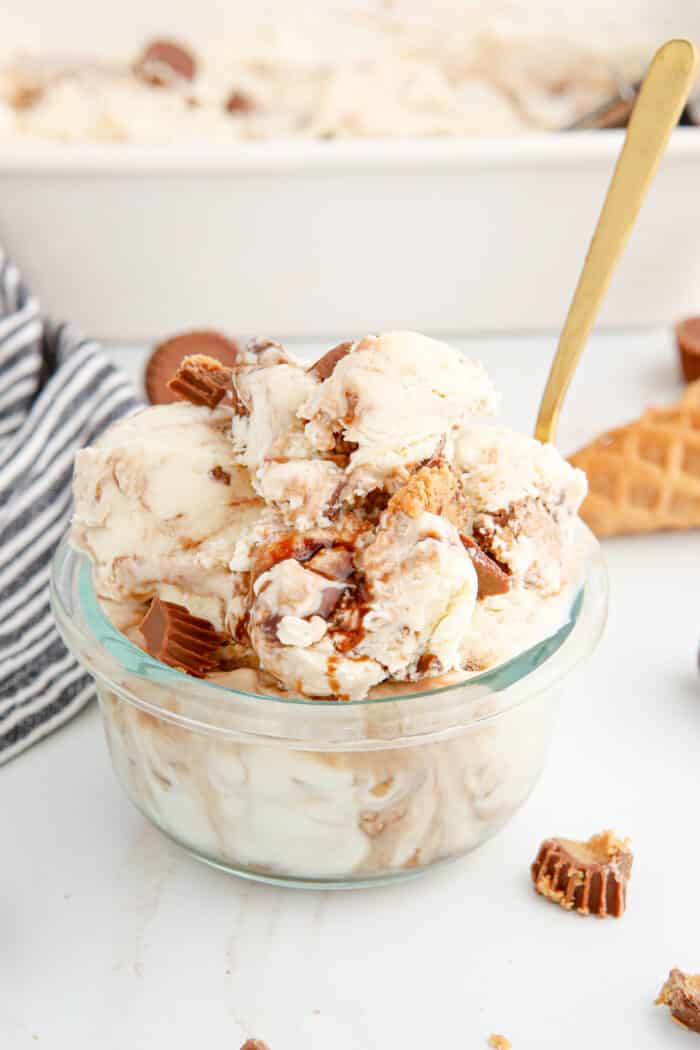 Moosetrack Ice Cream in a glass bowl.