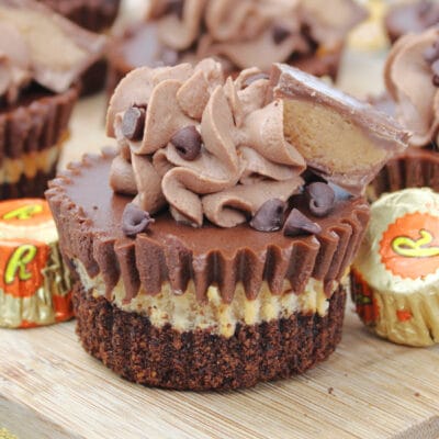 mini peanut butter cheesecakes feature