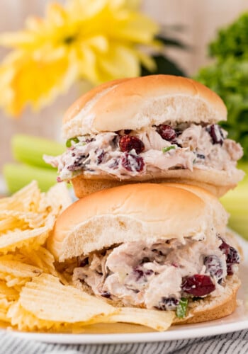 Cranberry walnut chicken salad on a plate with chips