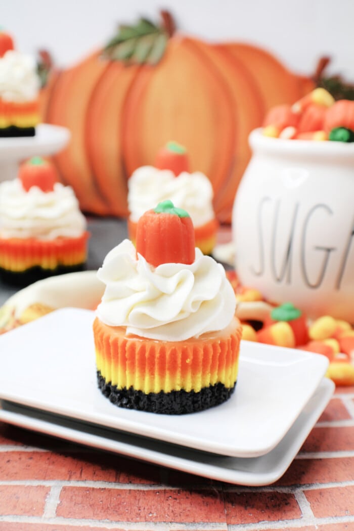 one Mini Candy Corn Cheesecakes on a plate.