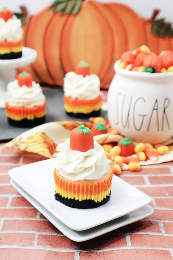 Mini Candy Corn Cheesecakes on a rectangular plate.
