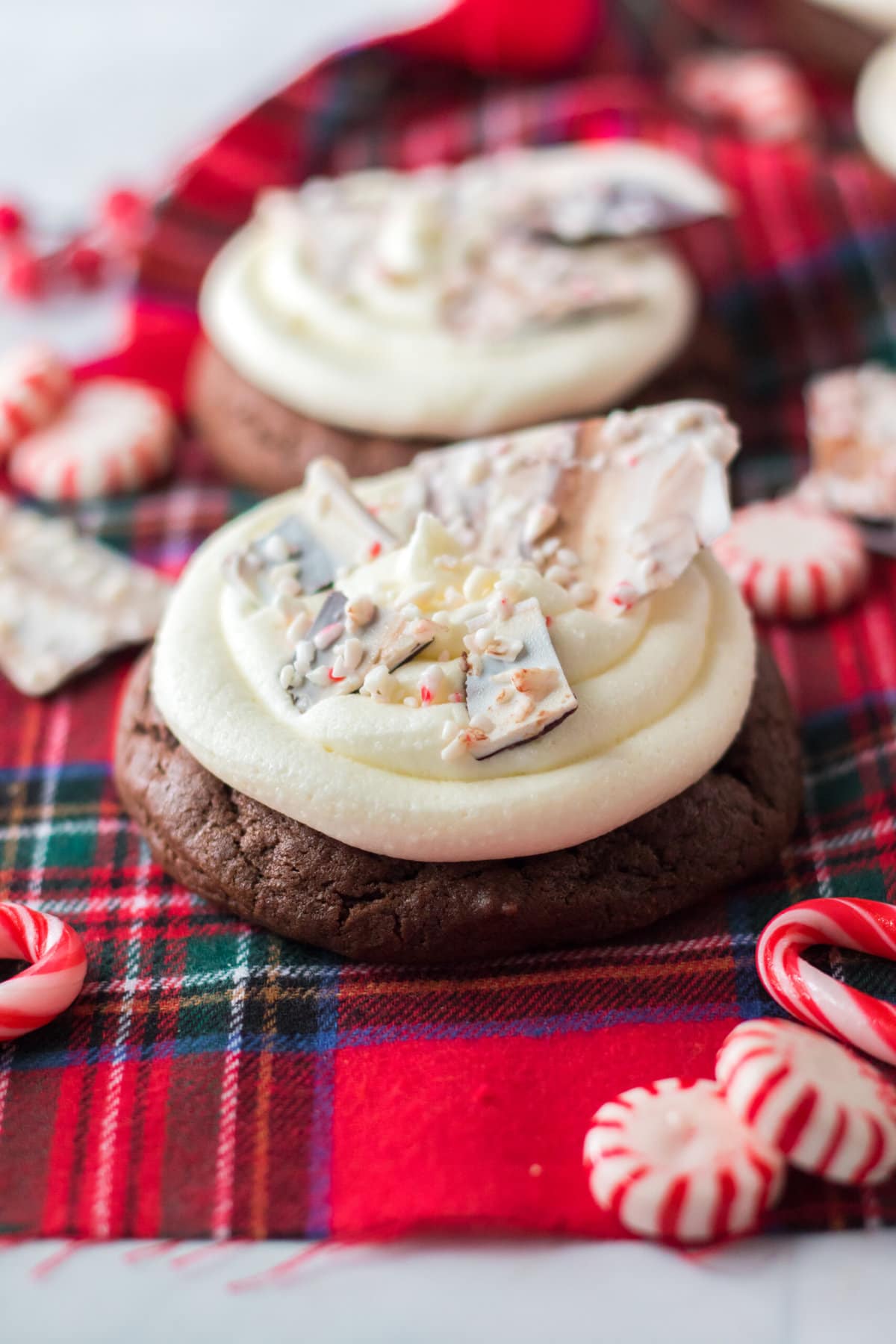 Peppermint Bark Cookies with mints on the sides.